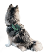 Load image into Gallery viewer, Paw Leaf Cooling Harness - Pomskie Pack Supply