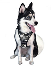 Load image into Gallery viewer, Camo Wolf Cooling Harness - Pomskie Pack Supply