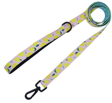 Load image into Gallery viewer, Main Squeeze Comfort Leash - Pomskie Pack Supply