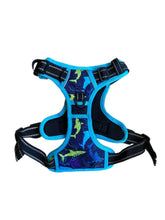 Load image into Gallery viewer, Seaside Shark Cooling Harness - Pomskie Pack Supply