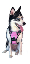 Load image into Gallery viewer, OG Pink Cooling Harness - Pomskie Pack Supply