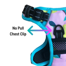 Load image into Gallery viewer, Main Squeeze Cooling Harness - Pomskie Pack Supply