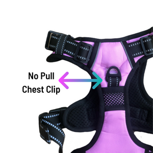 OG Pink Cooling Harness - Pomskie Pack Supply