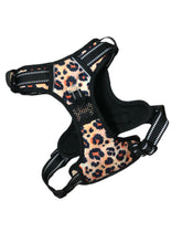 Load image into Gallery viewer, Wild Child Cooling Harness - Pomskie Pack Supply