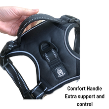 Load image into Gallery viewer, OG Black Cooling Harness - Pomskie Pack Supply