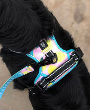 Load image into Gallery viewer, Main Squeeze Cooling Harness - Pomskie Pack Supply