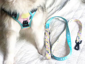 Main Squeeze Comfort Leash - Pomskie Pack Supply