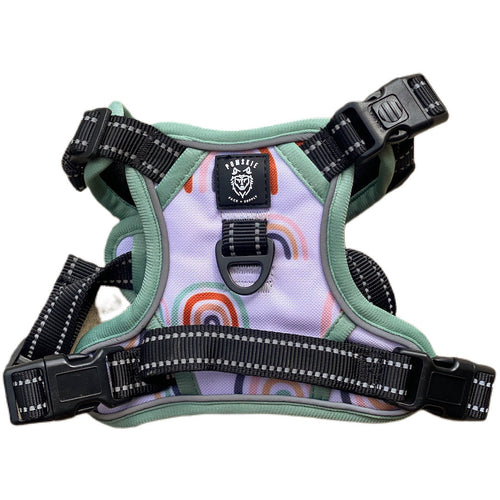 Chase the Rainbow Harness - Pomskie Pack Supply