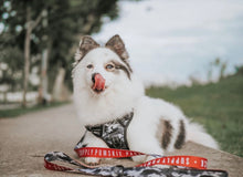 Load image into Gallery viewer, Camo Wolf Comfort Leash - Pomskie Pack Supply